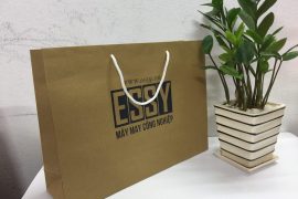 Túi giấy Kraft Túi giấy Kraft