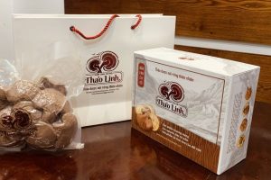 In hộp giấy đựng nấm linh chi giá rẻ, theo yêu cầu tại Hà Nội