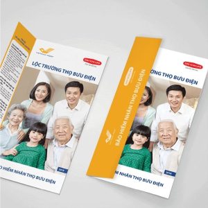 IN nhanh SHD in tờ rơi bảo hiểm cao cấp
