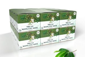 In hộp giấy đựng trà mãng cầu giá rẻ tại In Nhanh SHD