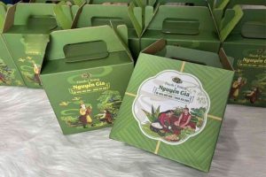 Mẫu hộp đựng bánh chưng đẹp, chất lượng cao