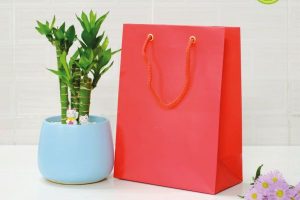 In túi giấy trơn giá rẻ, mẫu đẹp tại Hà Nội
