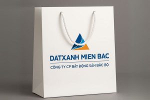 Túi giấy công ty bất động sản giá rẻ, chất lượng cao tại Hà Nội