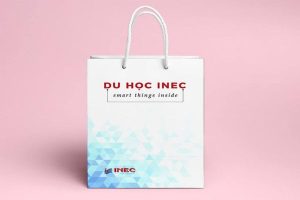 In túi giấy công ty du học giá rẻ, thiết kế theo yêu cầu
