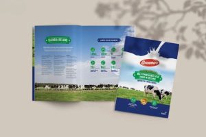 In catalogue sữa giá rẻ, chất lượng tại In Nhanh SHD