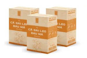 In hộp trà cà gai leo theo yêu cầu tại SHD