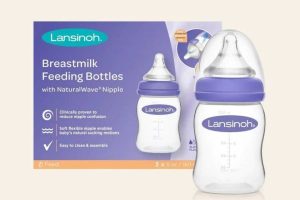 In hộp đựng bình sữa trẻ em đẹp, giá rẻ tại Hà Nội