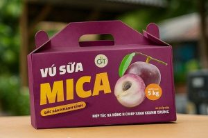 In thùng carton đựng vú sữa giá rẻ tại Hà Nội