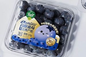 In tem dán việt quất giá rẻ, mẫu đẹp tại SHD