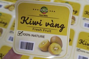 In tem nhãn kiwi đẹp, thiết kế theo yêu cầu