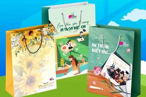 Túi quà tặng 20-11 chất lượng tại Hà Nội
