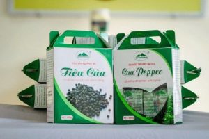 In hộp giấy đựng hạt tiêu giá rẻ, mẫu đẹp